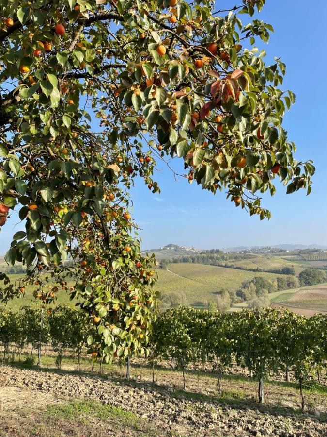 Locazione Turistica Cascina Pela Castagnole delle Lanze Exterior foto