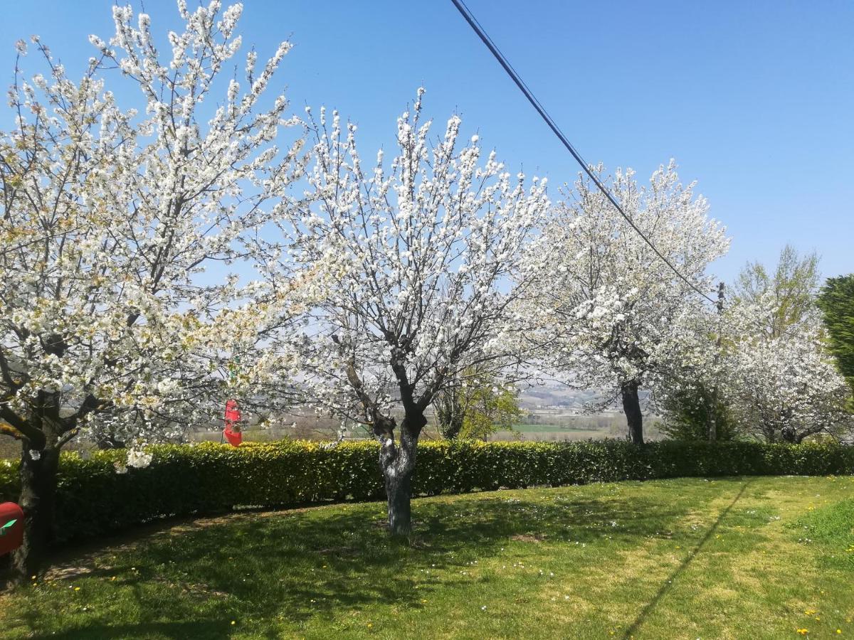 Locazione Turistica Cascina Pela Castagnole delle Lanze Exterior foto